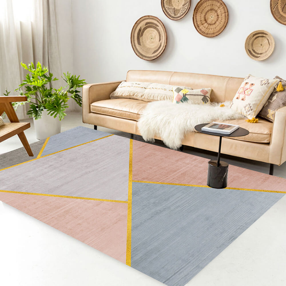 Tapis de Porte Minimaliste Moderne Tapis de Salon pour Animaux