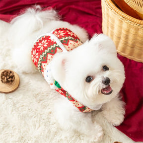 Pull tricoté pour chien motif ours festif confortable idéal pour les fêtes