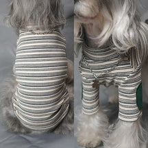 Pull en tricot extensible et chaud à rayures vintage chic pour chien