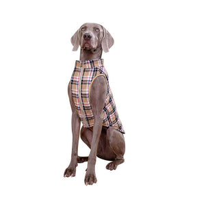 Gilet rembourré à carreaux pour chien style britannique avec anneau en D