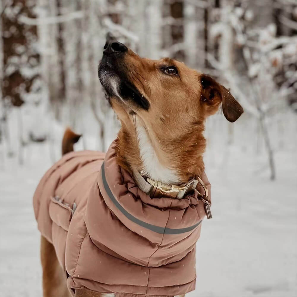 Gilet chaud imperméable et coupe-vent pour un confort hivernal optimal