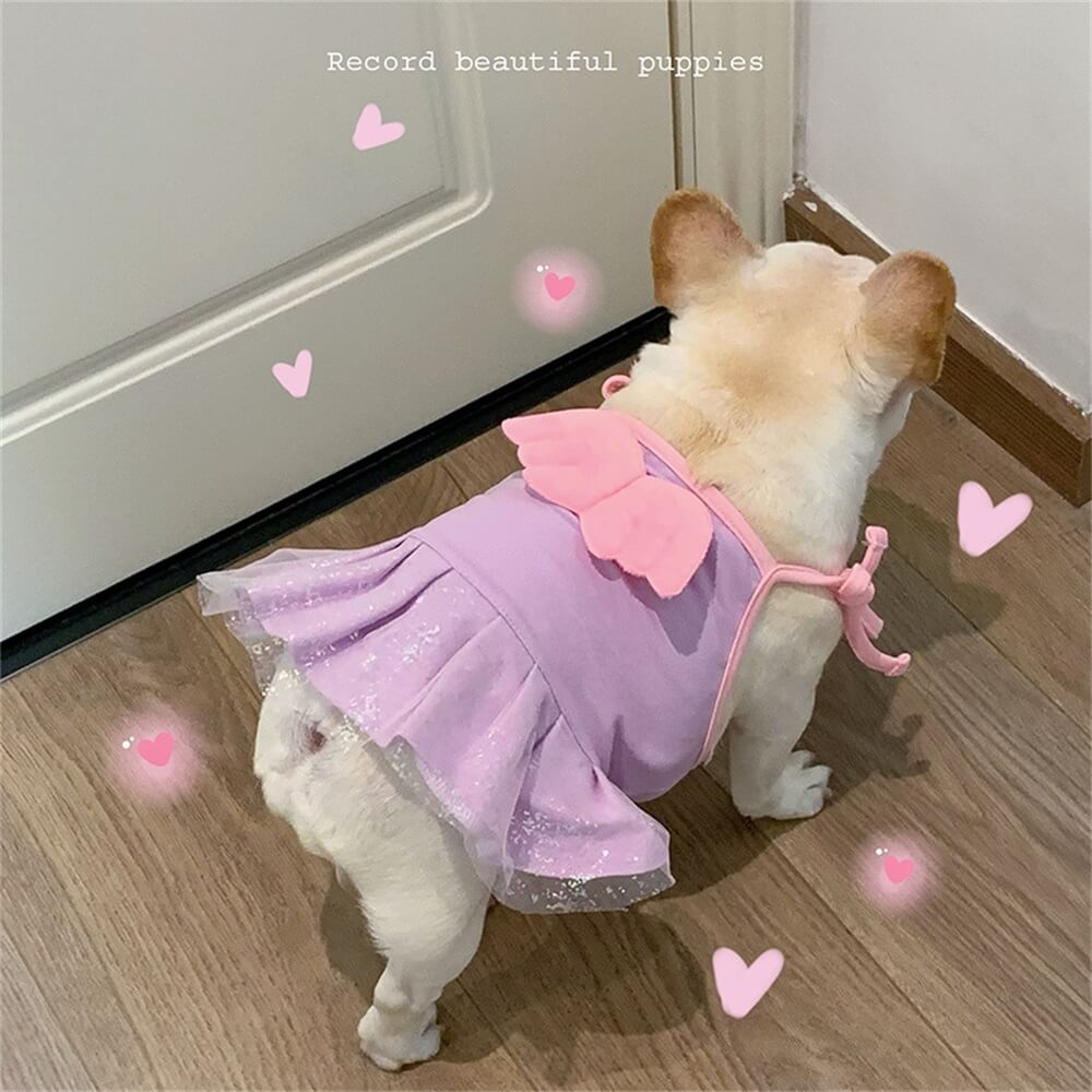 Robe pour Chien avec Ailes d'Ange Adorables - Idéale pour les Occasions Spéciales