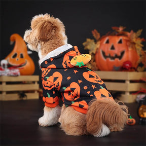 Sweat à Capuche Imprimé Citrouille Halloween pour Animaux