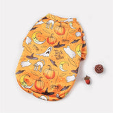 Costume Douillet pour Animaux en Motif Halloween | Design Citrouille & Fantôme pour Automne et Hiver