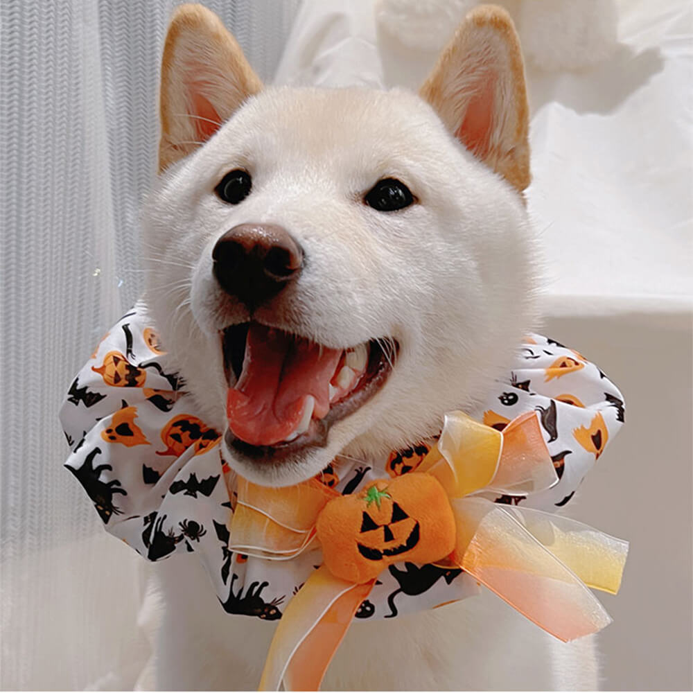 Bandana Chien Halloween Citrouille Volant