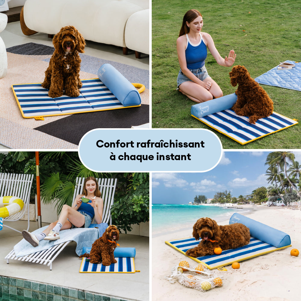 Tapis rafraichissant chien portable pour grand chiens et chat - Chill Nest