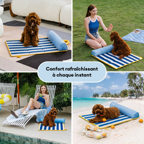 Tapis rafraichissant chien portable pour grand chiens et chat - Chill Nest