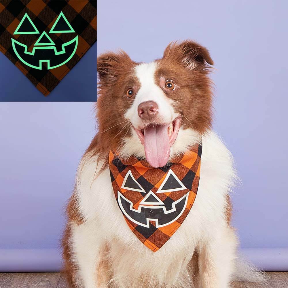 Lumineux Bandana Triangle Citrouille et Crâne pour Animaux | Bavoir Festif et Fluorescent pour Chien