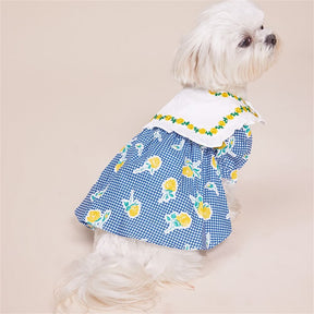 Robe pour Chien à Carreaux Vichy Fleuris