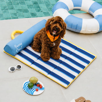 Tapis rafraichissant chien portable pour chat et petit chien - Chill Nest