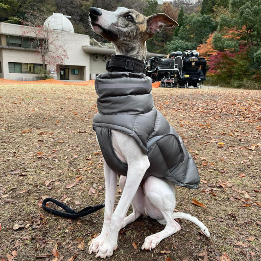 Gilet chaud imperméable et coupe-vent pour un confort hivernal optimal