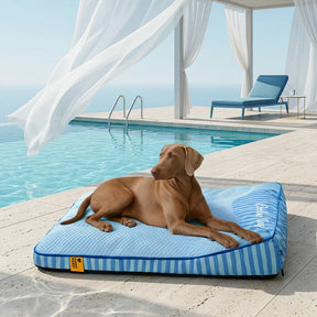Lit orthopédique pour chien rectangulaire extra large, lavable et refroidissant - Extérieur