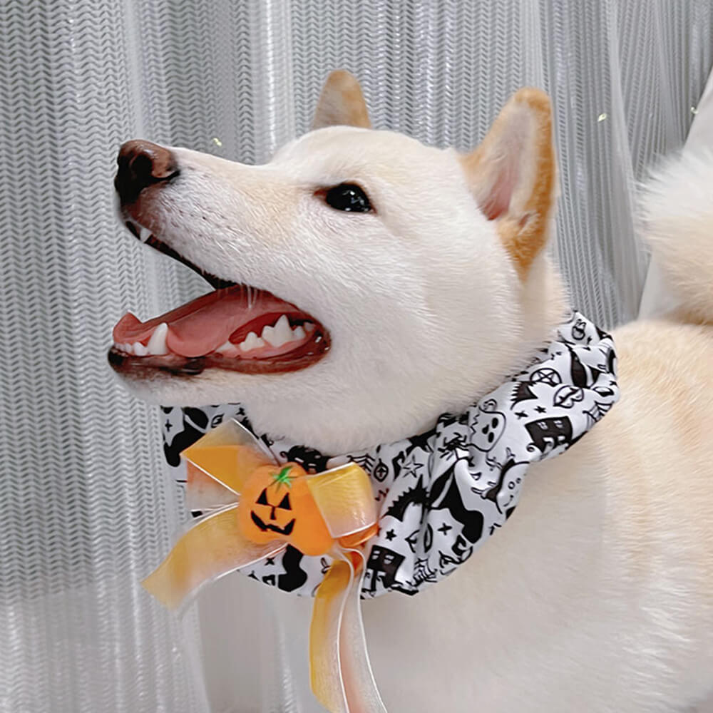 Bandana Chien Halloween Citrouille Volant