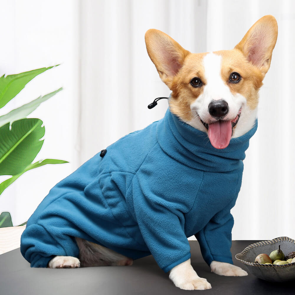 Combinaison polaire pour chien – Chaleur confortable et intégrale pour temps froid