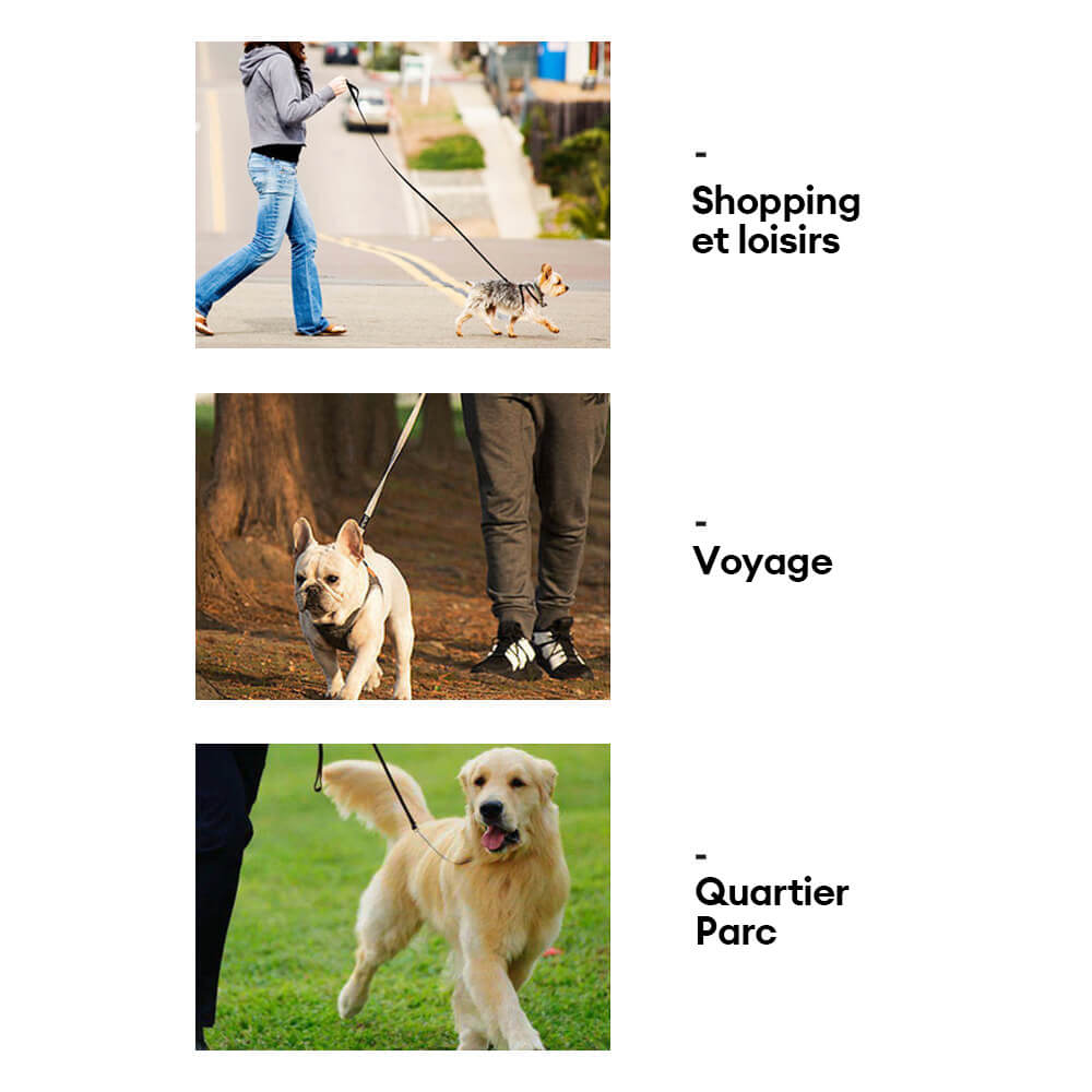 Pince à déchets pour chien à six griffes portable pour nettoyage extérieur