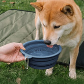 Bol en silicone pliable pour chien - Urban Roaming