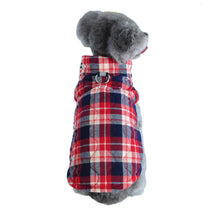 Gilet rembourré à carreaux pour chien style britannique avec anneau en D