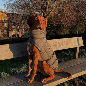 Gilet chaud imperméable et coupe-vent pour un confort hivernal optimal