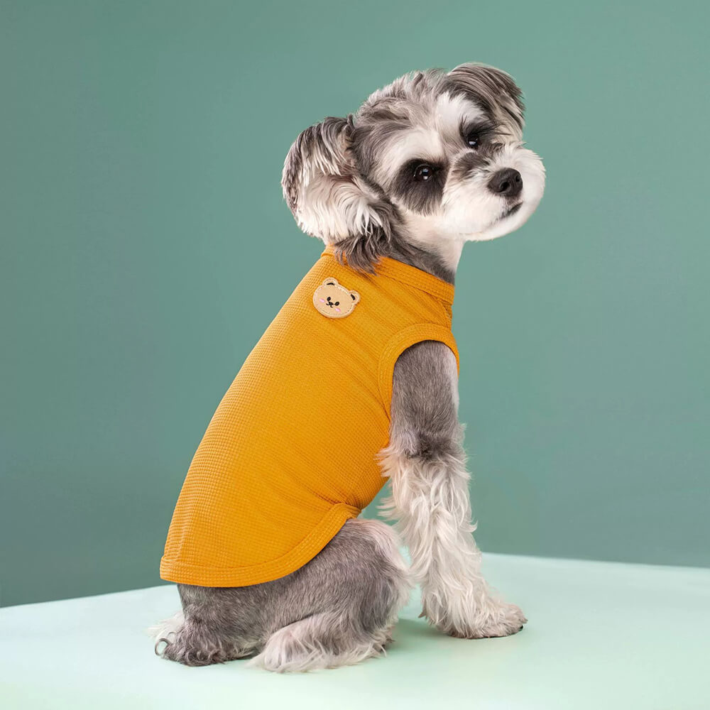 Veste Multicolore Gaufre pour Chien et Chat