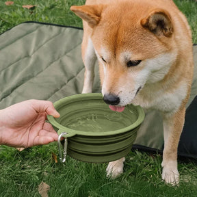 Bol en silicone pliable pour chien - Urban Roaming