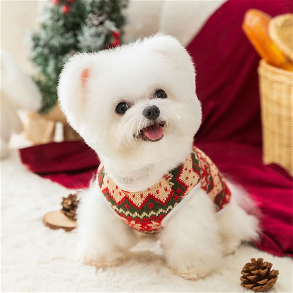 Pull tricoté pour chien motif ours festif confortable idéal pour les fêtes