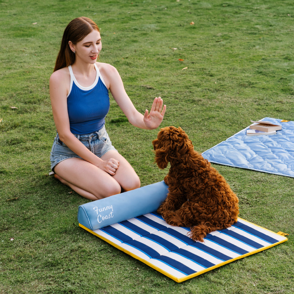 Tapis rafraichissant chien portable pour chat et petit chien - Chill Nest