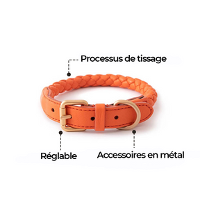 Ensemble Collier et Laisse pour Chiot en Similicuir Tressé à la Main