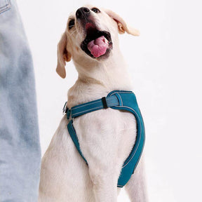 Harnais Anti-Traction Réglable Respirant pour Chien avec Laisse Mains Libres