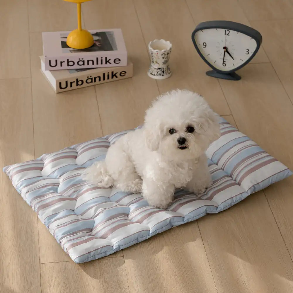 Oreiller de chien à double face respirant tout-temps avec support pour le cou