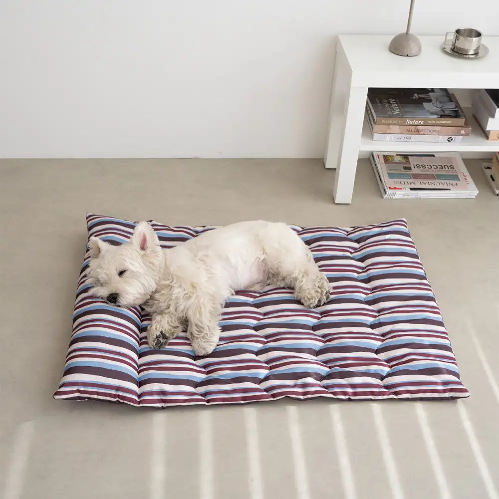 Oreiller de chien à double face respirant tout-temps avec support pour le cou