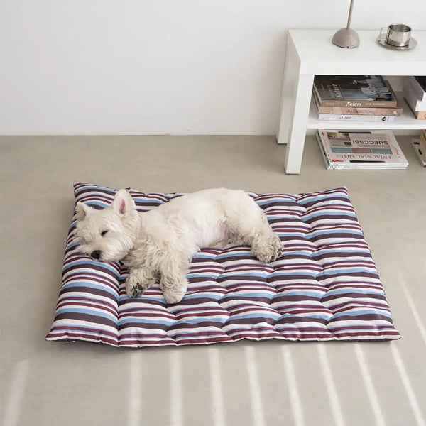 Oreiller de chien à double face respirant tout-temps avec support pour le cou