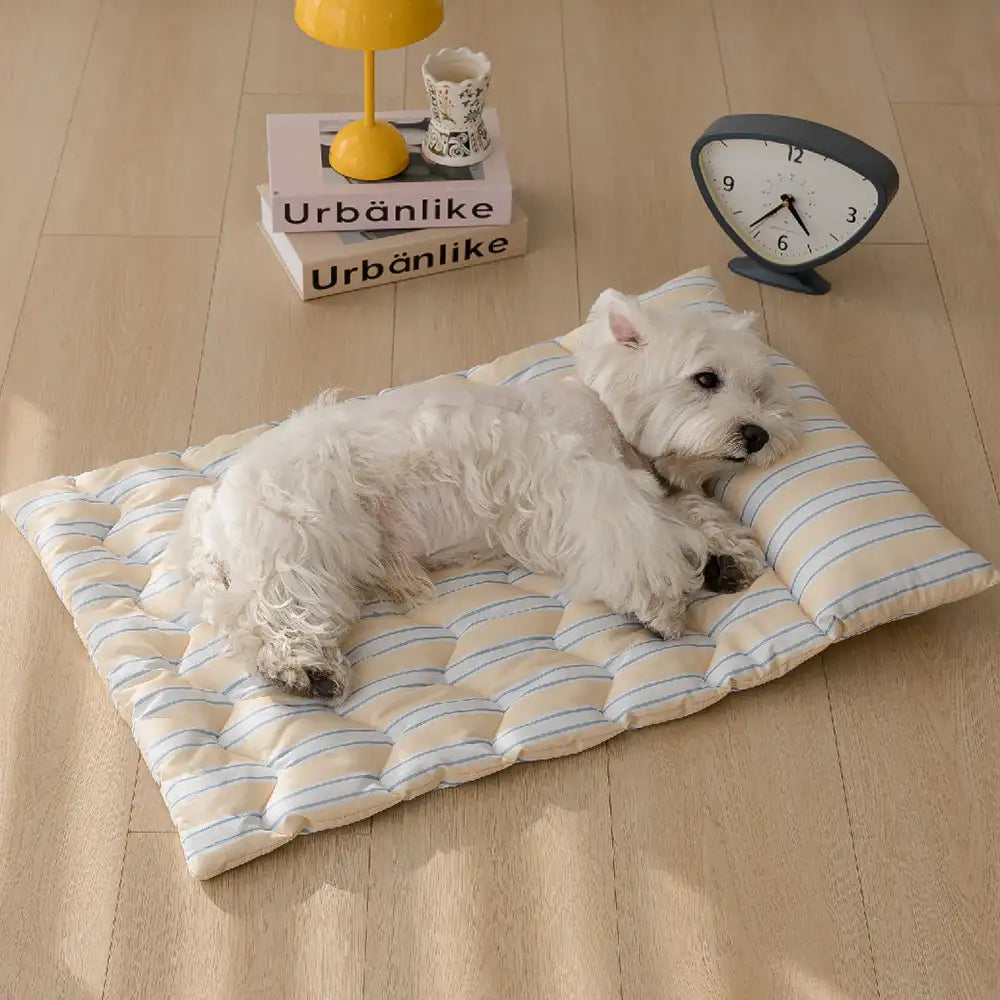 Oreiller de chien à double face respirant tout-temps avec support pour le cou