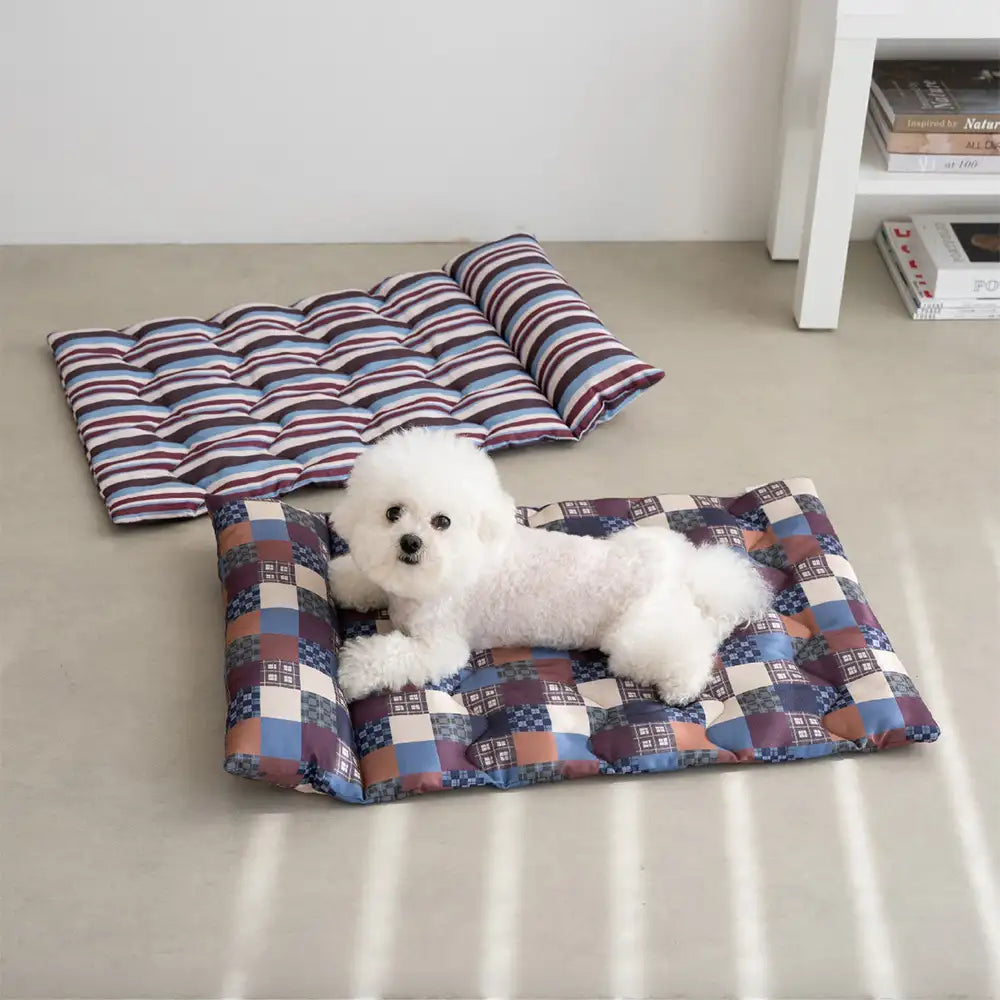 Oreiller de chien à double face respirant tout-temps avec support pour le cou