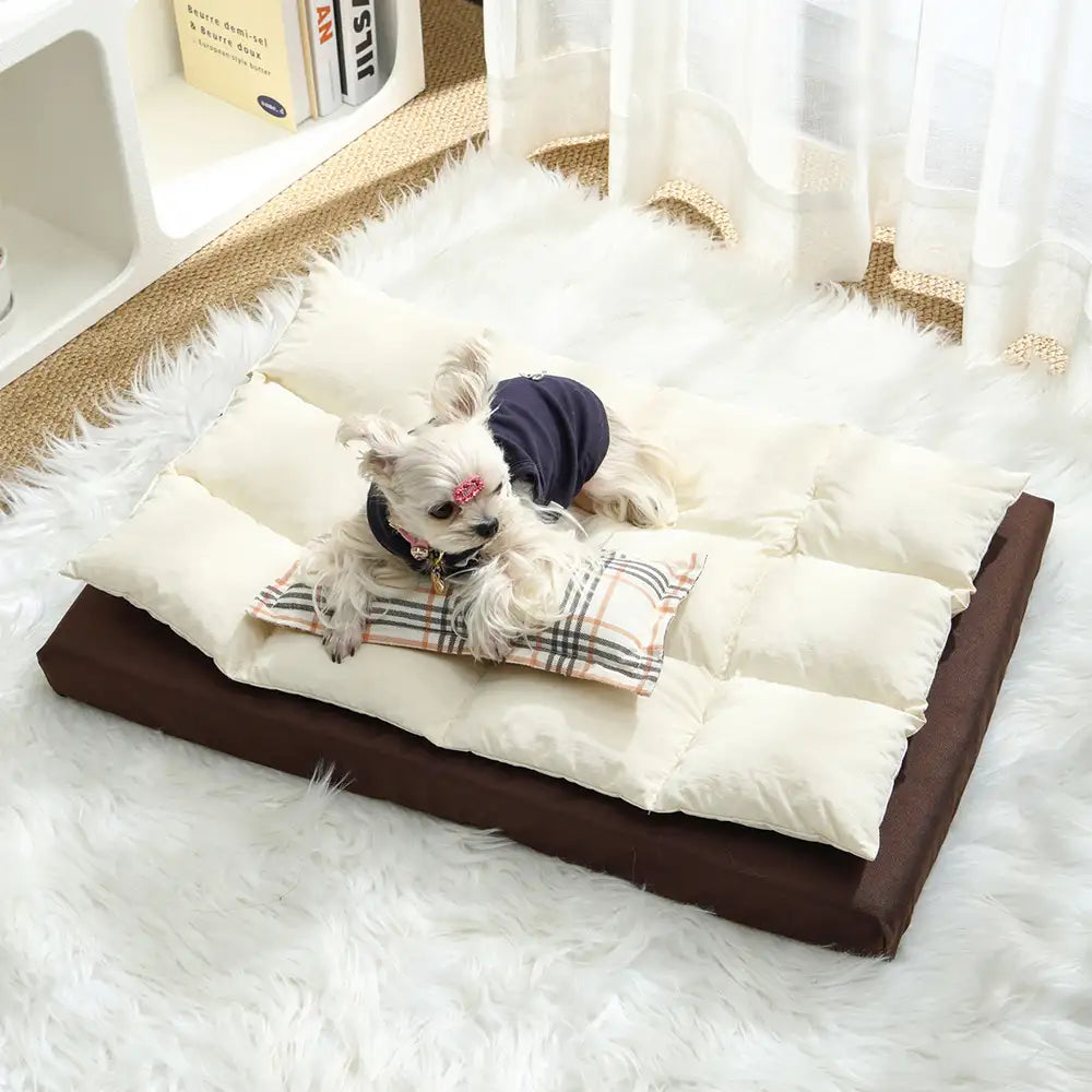 Lits pour chien confortable imperméable multifonction tout-en-un avec coussin