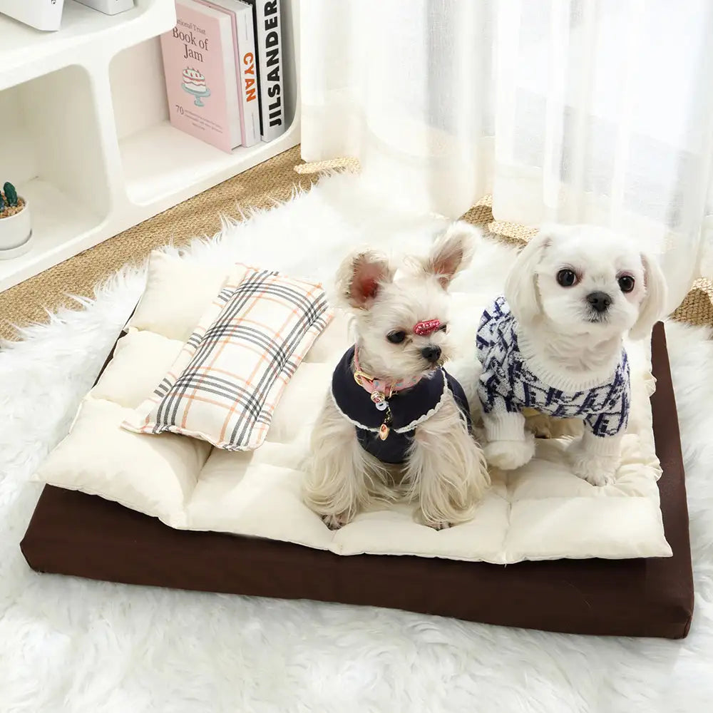 Lits pour chien confortable imperméable multifonction tout-en-un avec coussin