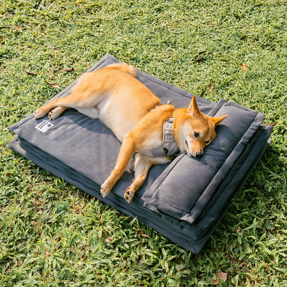 Lit pour chien anti-anxiété avec support en mousse pour sommeil profond