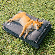 Lit pour chien anti-anxiété avec support en mousse pour sommeil profond