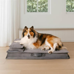 Lit pour chien anti-anxiété avec support en mousse pour sommeil profond