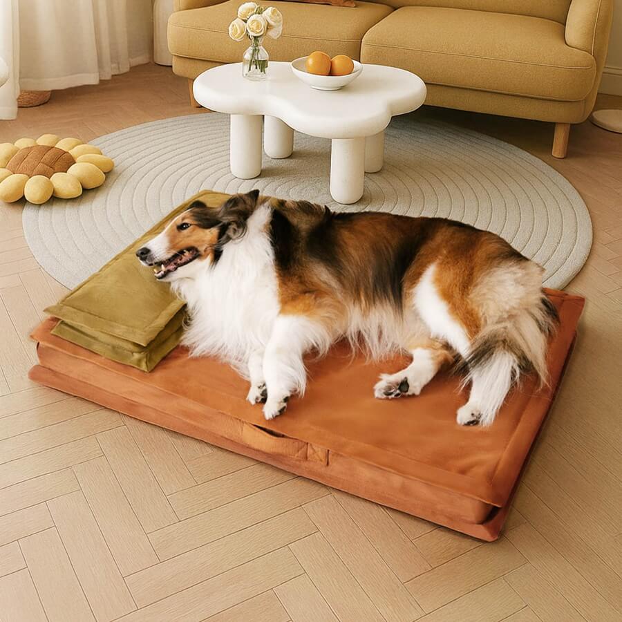 Lit pour chien anti-anxiété avec support en mousse pour sommeil profond