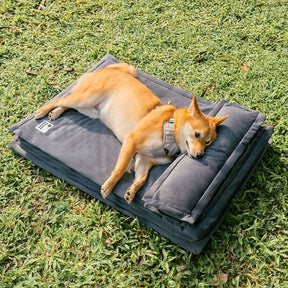Lit pour chien anti-anxiété avec support en mousse pour sommeil profond