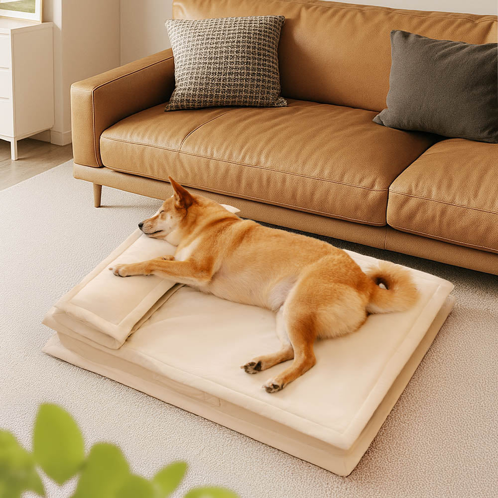 Lit pour chien anti-anxiété avec support en mousse pour sommeil profond