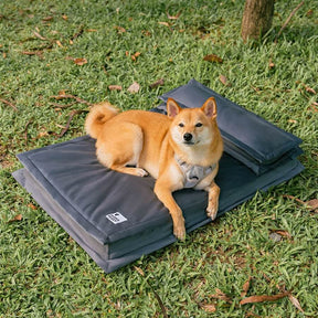 Lit pour chien anti-anxiété avec support en mousse pour sommeil profond