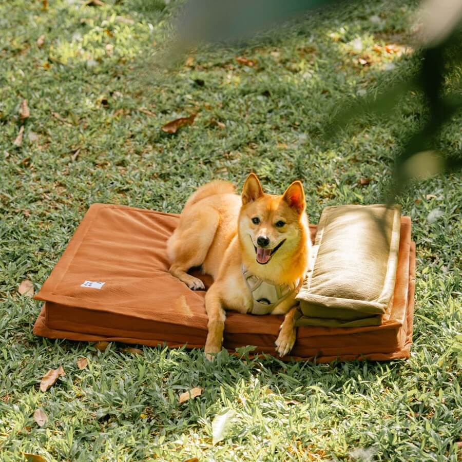 Lit pour chien anti-anxiété avec support en mousse pour sommeil profond
