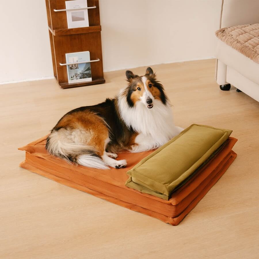 Lit pour chien anti-anxiété avec support en mousse pour sommeil profond