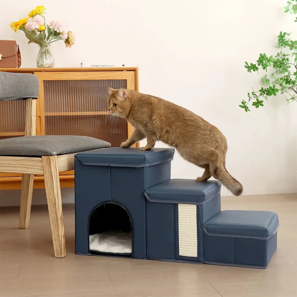 Escalier pour chien pliable multifonctionnel antidérapant, adapté à l'arthrite, avec rangement et condo.