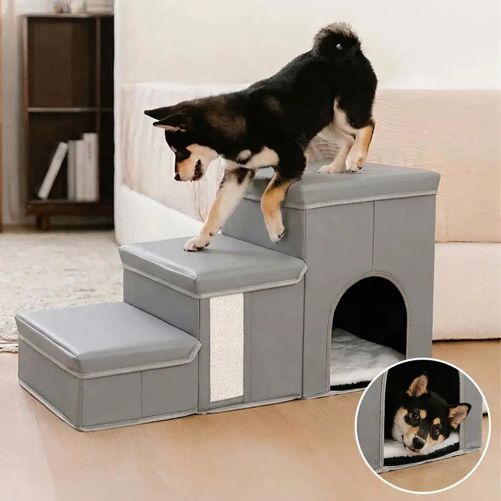 Escalier pour chien pliable multifonctionnel antidérapant, adapté à l'arthrite, avec rangement et condo.