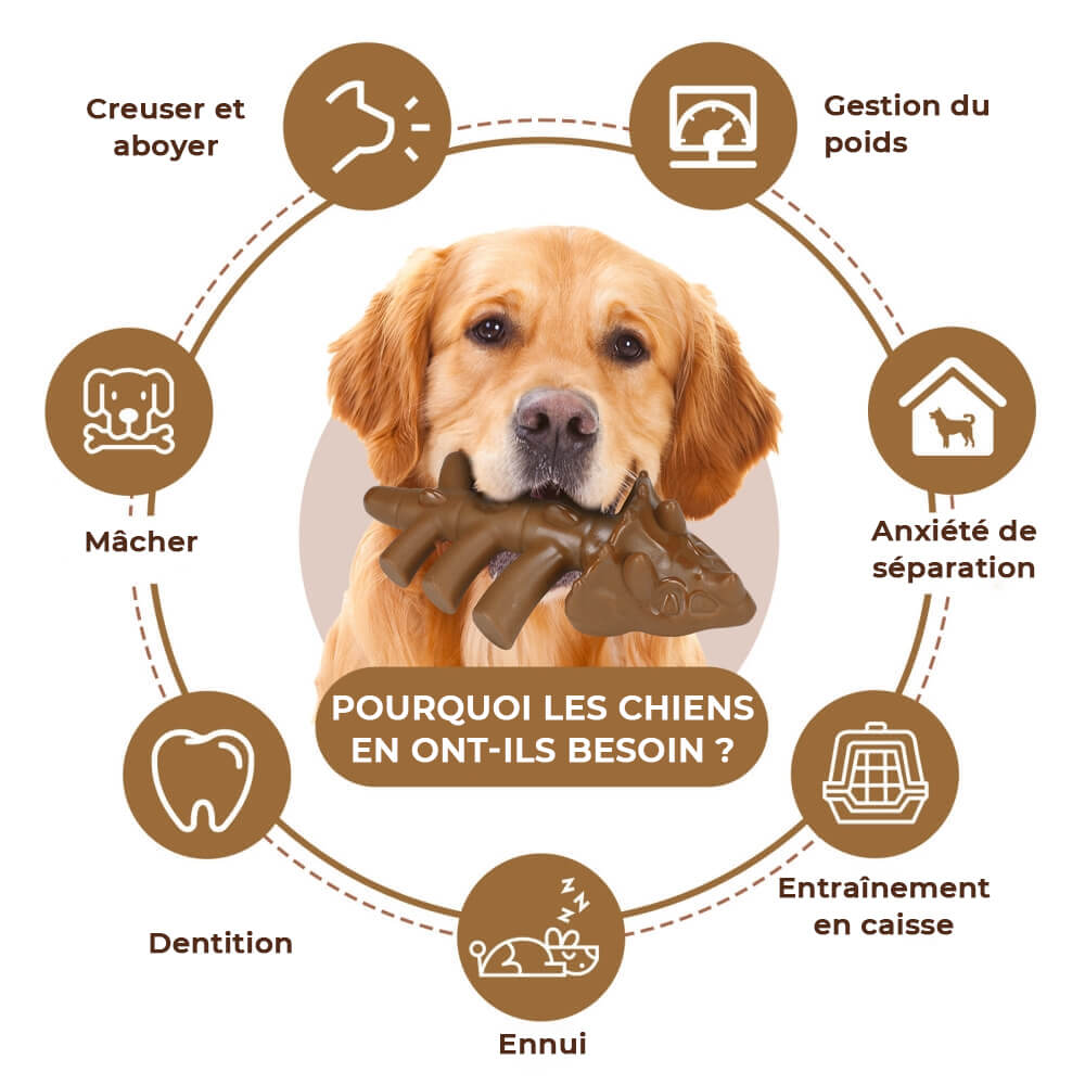 Kit de démarrage pour chiots - Kit d'accessoires essentiels pour la maison