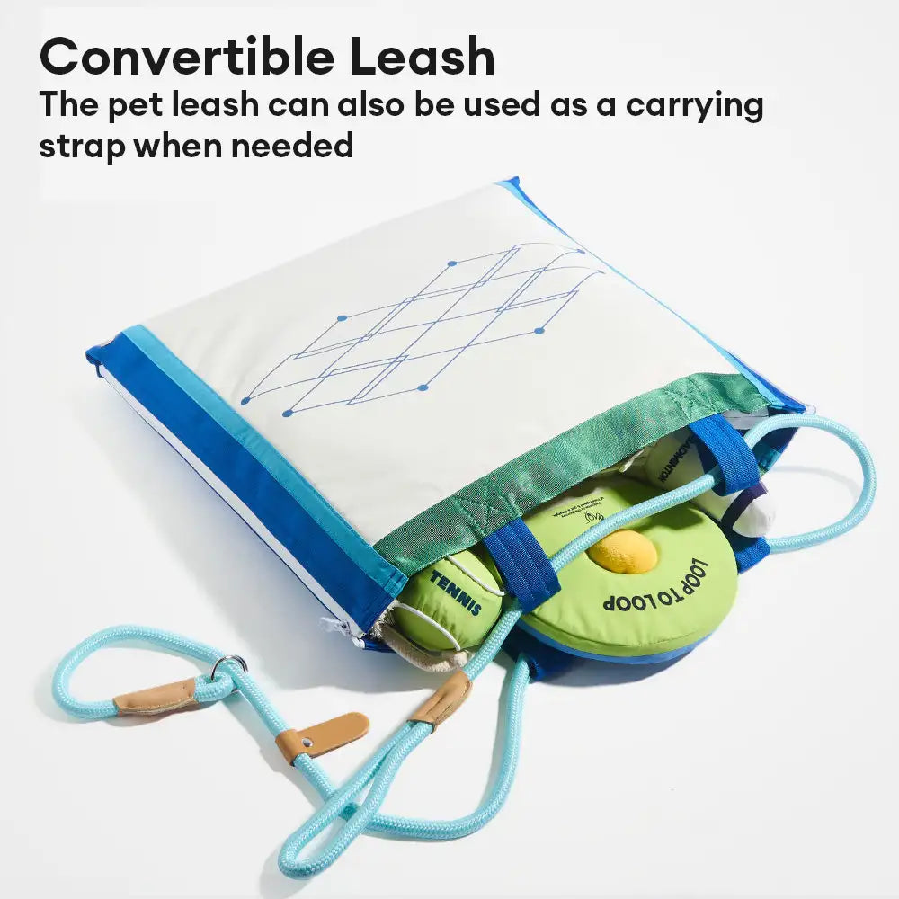 Série de jeux de plage - balles éducatives interactives pour chiens