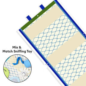 Série de jeux de plage - balles éducatives interactives pour chiens