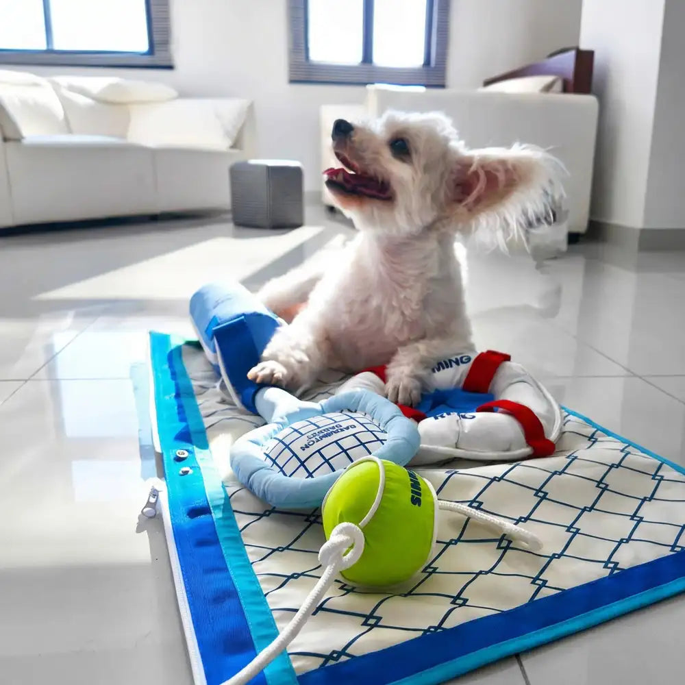 Série de jeux de plage - balles éducatives interactives pour chiens